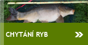 Chytání ryb na návsi